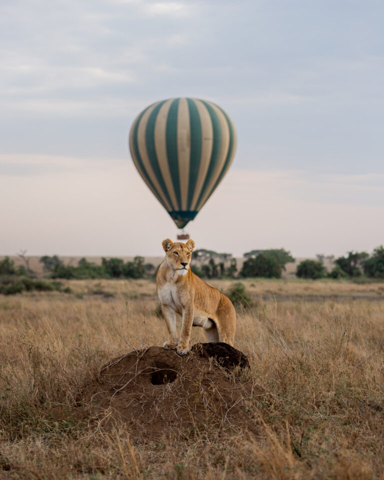 Viaje Exclusivo de 9 Días a Tanzania