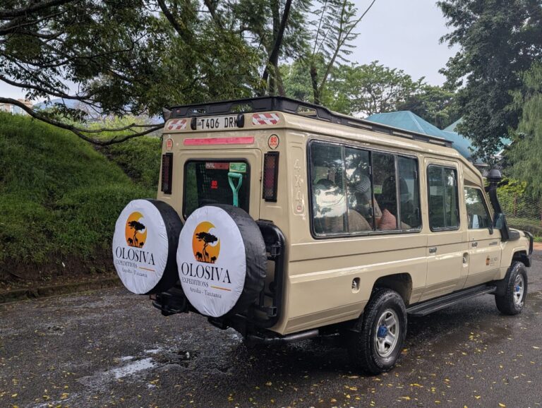 11 días de safari en Tanzania y Zanzíbar