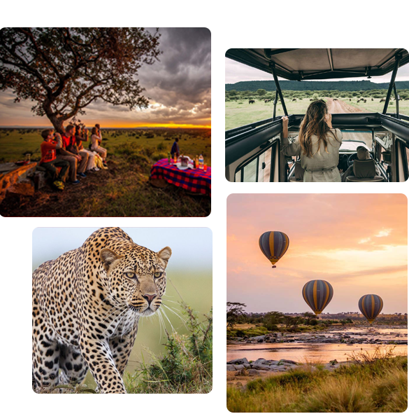 Sobre Olosiva Expeditions