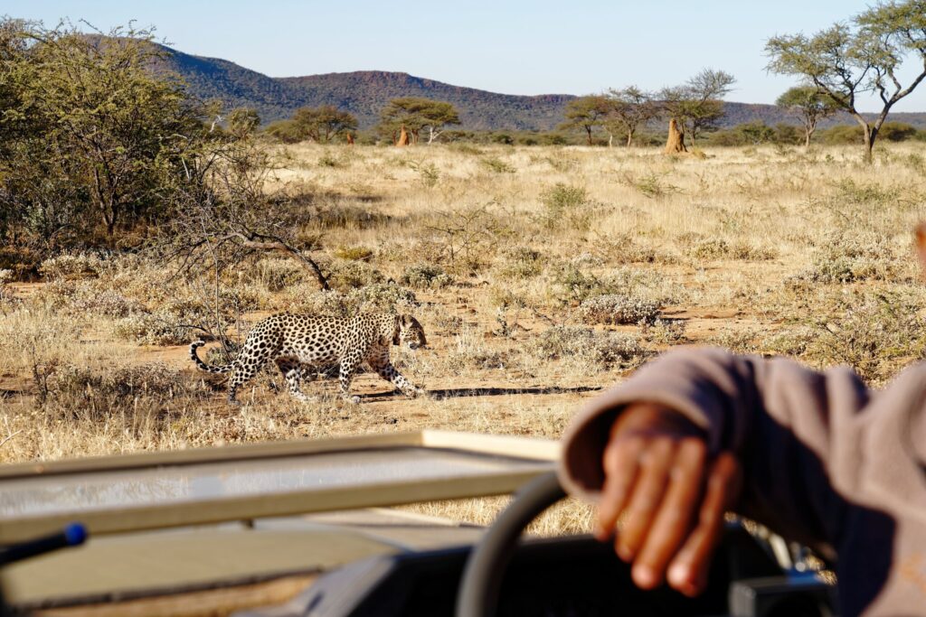 Safari de 9 días en Tanzania
