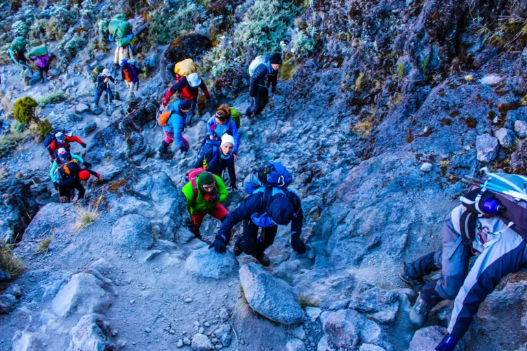 Kilimanjaro Trek por la Ruta Umbwe de 6 días