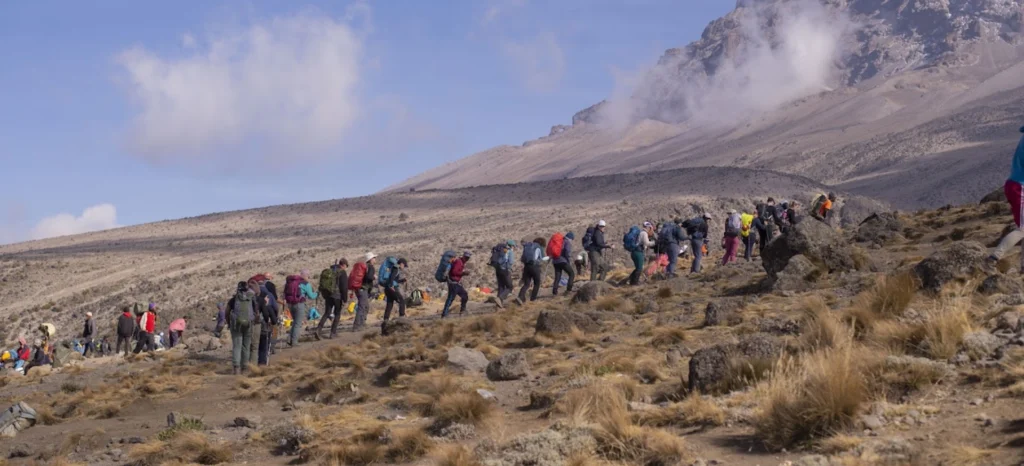 trekking de 6 días al Kilimanjaro por la Ruta Rongai
