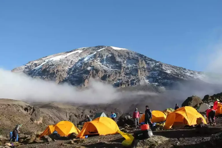 Ruta Shira Plateau Kilimanjaro de 7 días