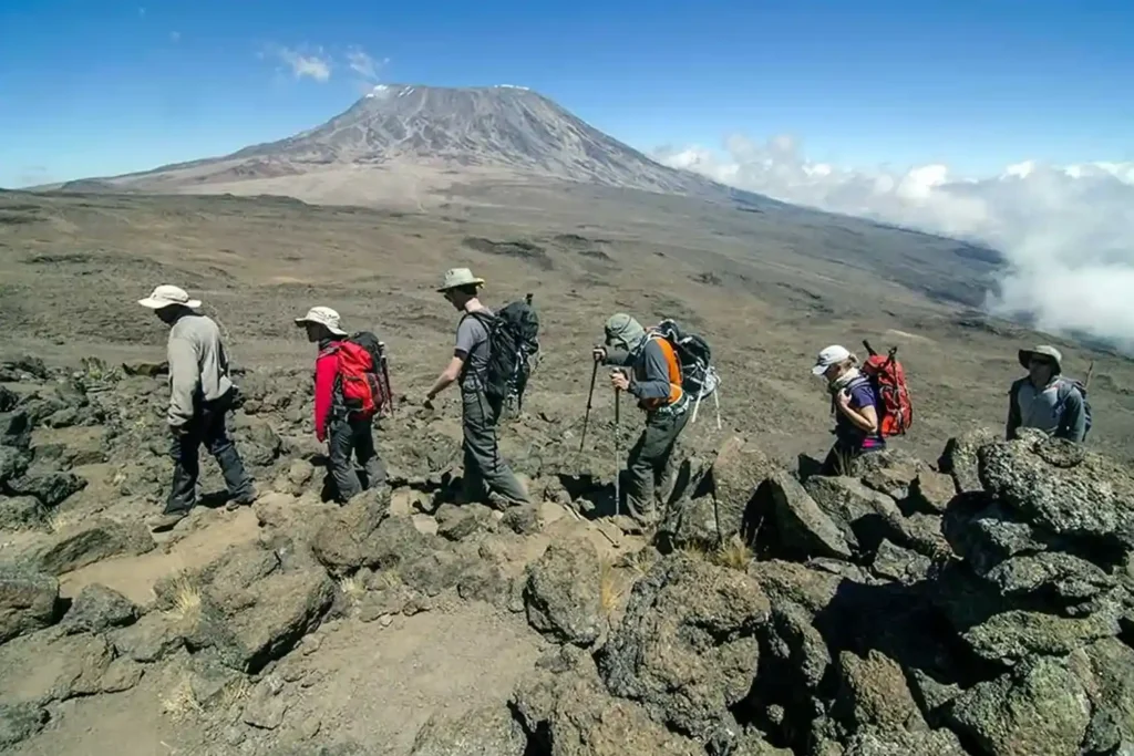 Ruta Lemosho Kilimanjaro 8 días