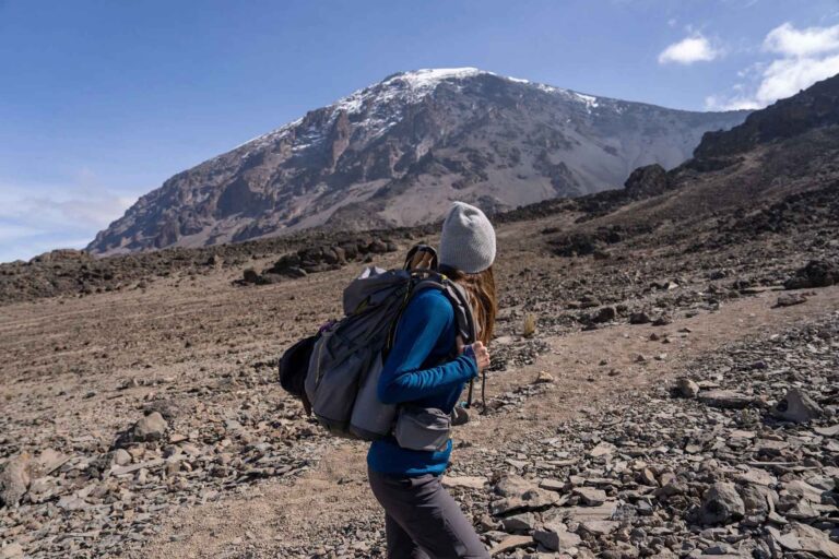 Ruta Lemosho Kilimanjaro 8 días