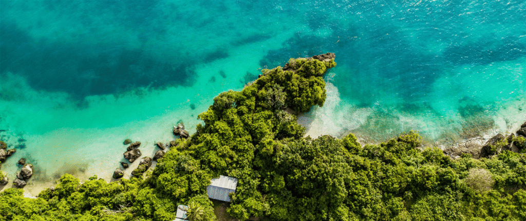 6 Días en la Isla de Pemba