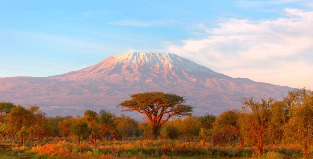 Ruta Shira Plateau Kilimanjaro de 7 días